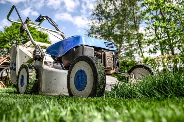 Mastering Lawn Care & Eco-Friendly Landscaping for Your Dream Outdoor Space