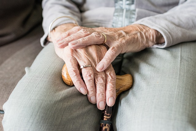 Nurturing Elderly Loved Ones with In-Home Companion Services