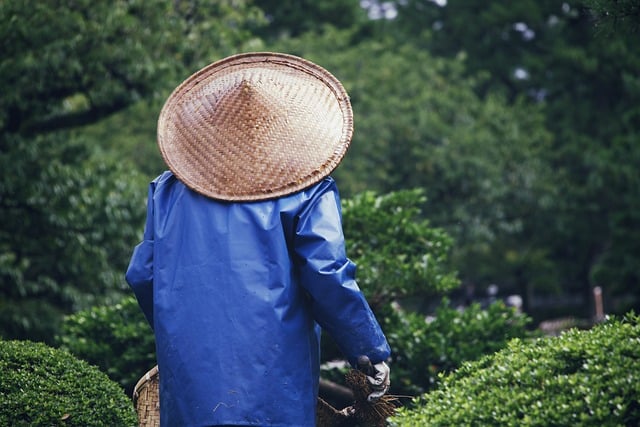 Educating on Yard Waste: Recycling and Composting for Sustainable Living