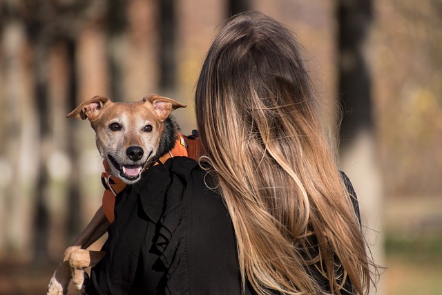 Pet Sitting and Dog Walking: Joyful Adventures for Pets and Owners