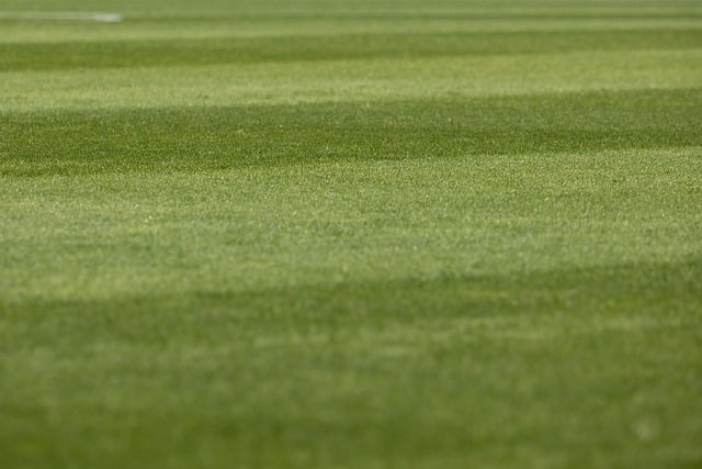 lawn-care-640x480-87705925.jpeg