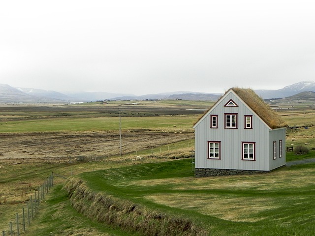 Home Repair
