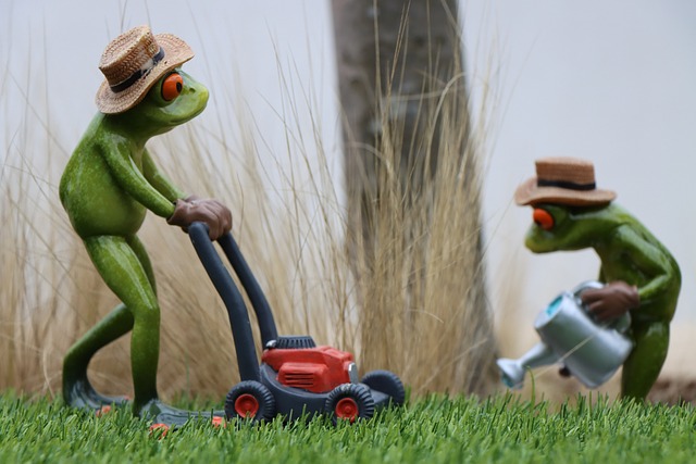Elevate Your Space: Expert Lawn Care and Landscaping Solutions
